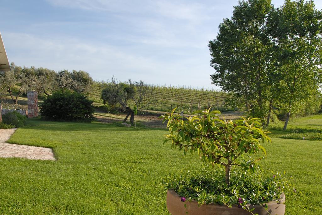 Agriturismo Arte Et Agricoltura Tuscania Dış mekan fotoğraf