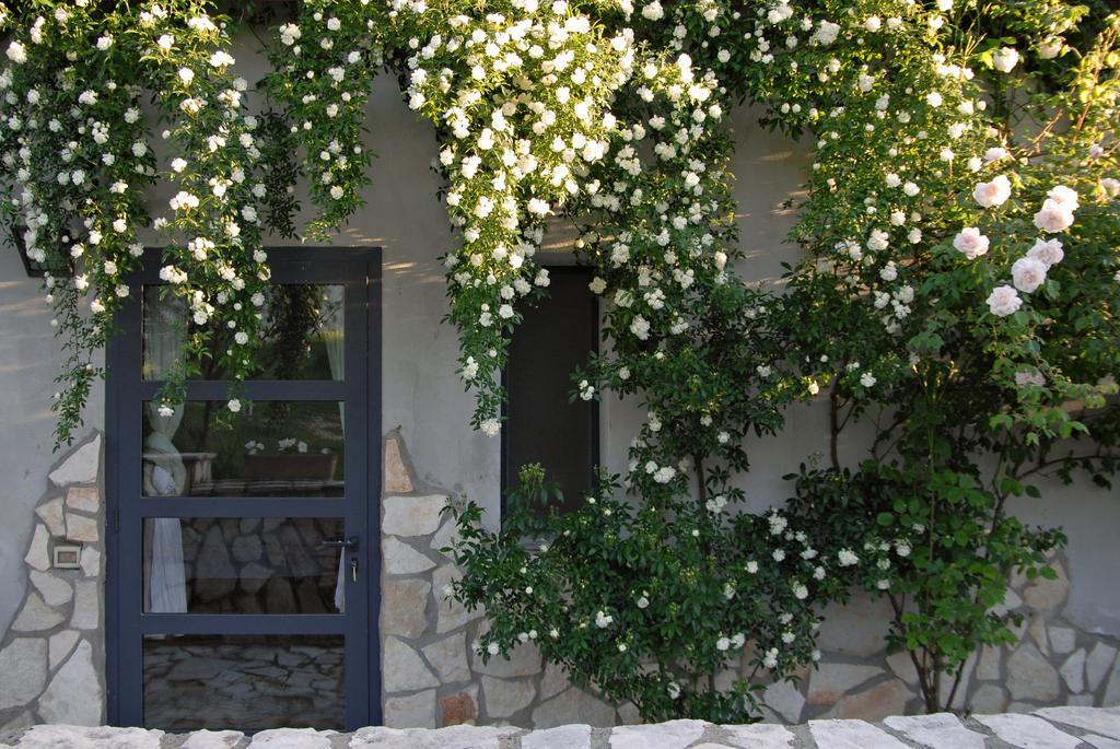 Agriturismo Arte Et Agricoltura Tuscania Dış mekan fotoğraf