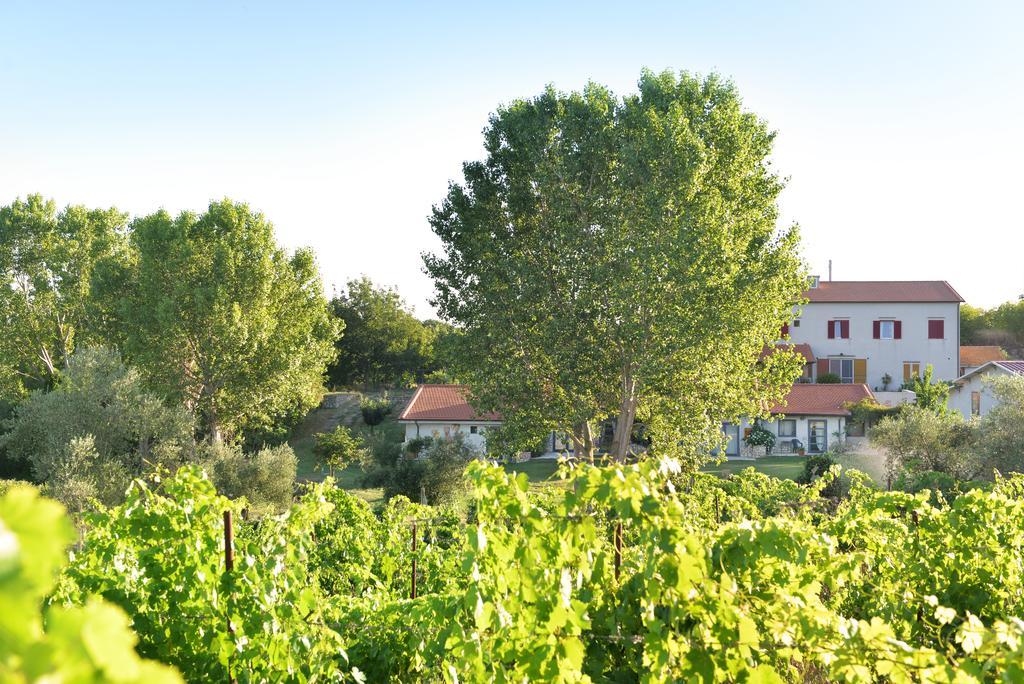 Agriturismo Arte Et Agricoltura Tuscania Dış mekan fotoğraf