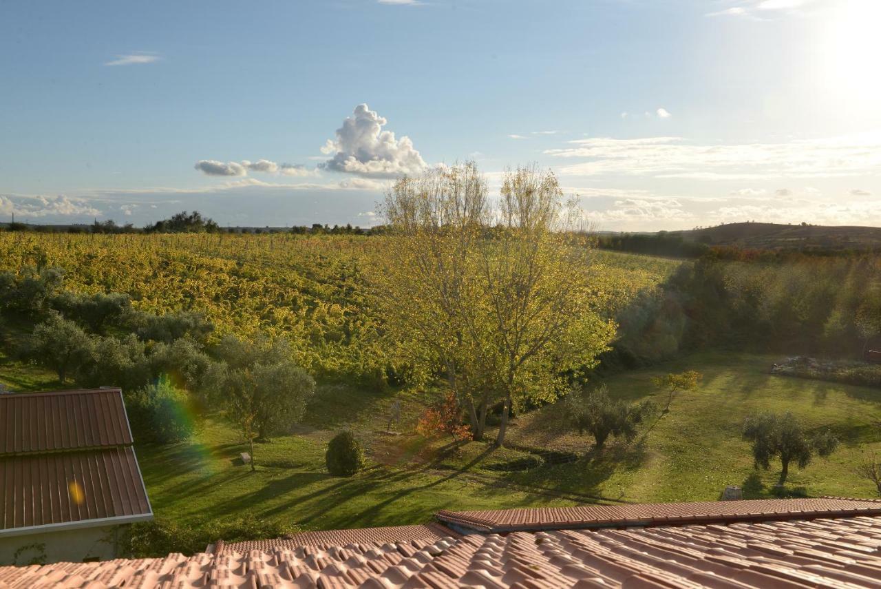 Agriturismo Arte Et Agricoltura Tuscania Dış mekan fotoğraf